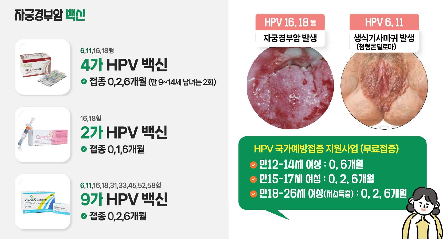 자궁경부암 백신종류는 6,11,16,18형 4가 HPV백신(접종은 0,2,6개월 간격-만9~14세 남녀는 2회), 16,18형 2가 HPV 백신(접종은 0,1,6개월 간격), 6,11,16,18,31,33,45,52,58형 9가 HPV 백신(접종은 0,2,6개월 간격)이 있으며, HPV 국가예방접종 지원사업(무료접종)은 만12세-14세 여성은 0,6개월, 만15세~17세 여성은 0,2,6개월, 만18세-26세 여성(저소득층)은 0,2,6개월을 지원을 받을 수 있다.